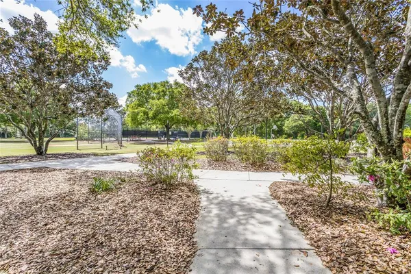 a view of a yard with plants and large trees