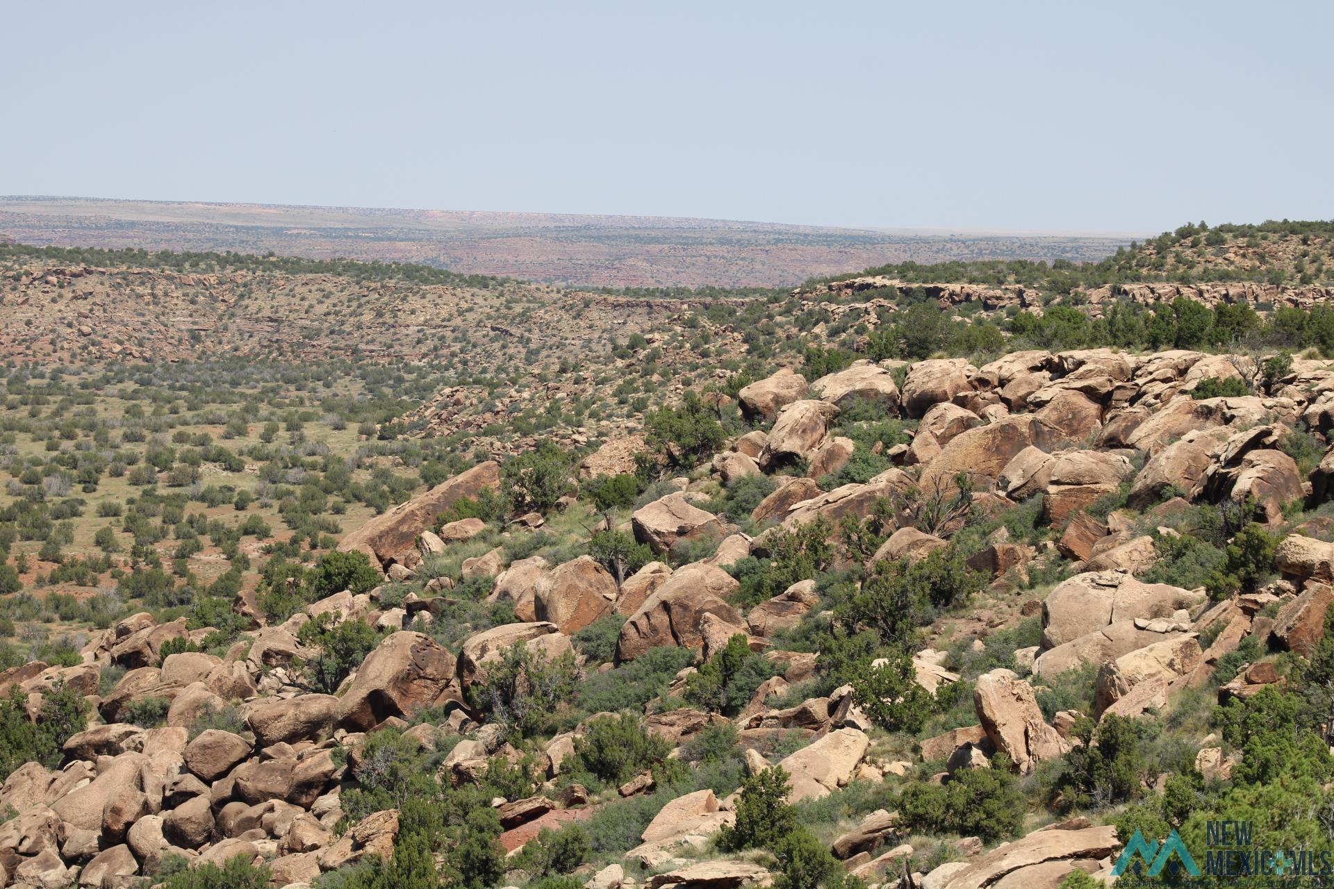 Pecos Valley Ranch Santa Rosa, NM 88435 - Photo 14 of 50