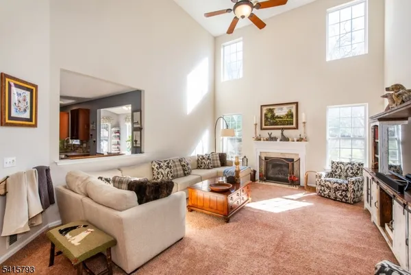 a living room with furniture or couch and a fireplace