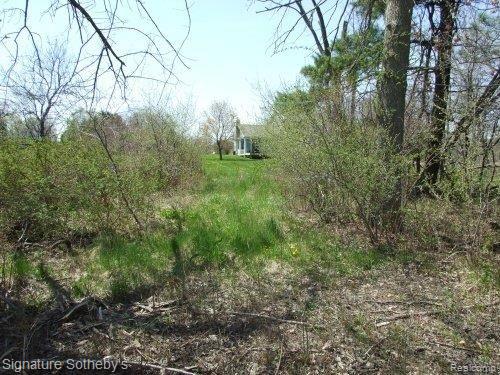 5560 Hosner Road Oxford, MI 48370 - Photo 22 of 23 Back of Property 2nd View