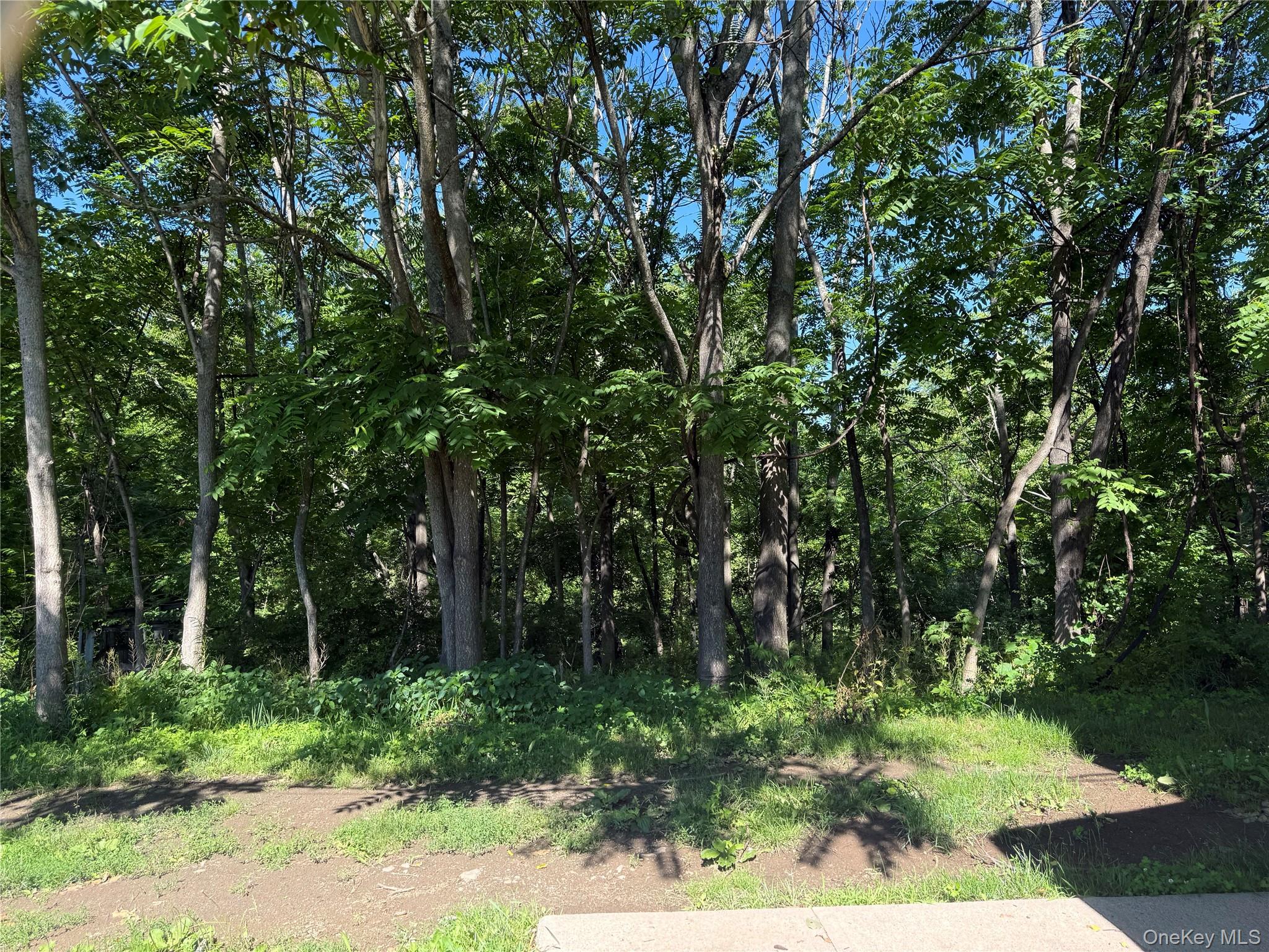 570 Mt Hope Road, Unit 1 Middletown, NY 10940 - Photo 34 of 41 Front yard
