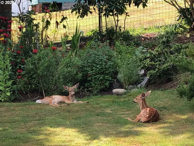 a view of a porch with a yard