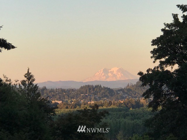164 Brockway Road Chehalis, WA 98532 - Photo 4 of 19