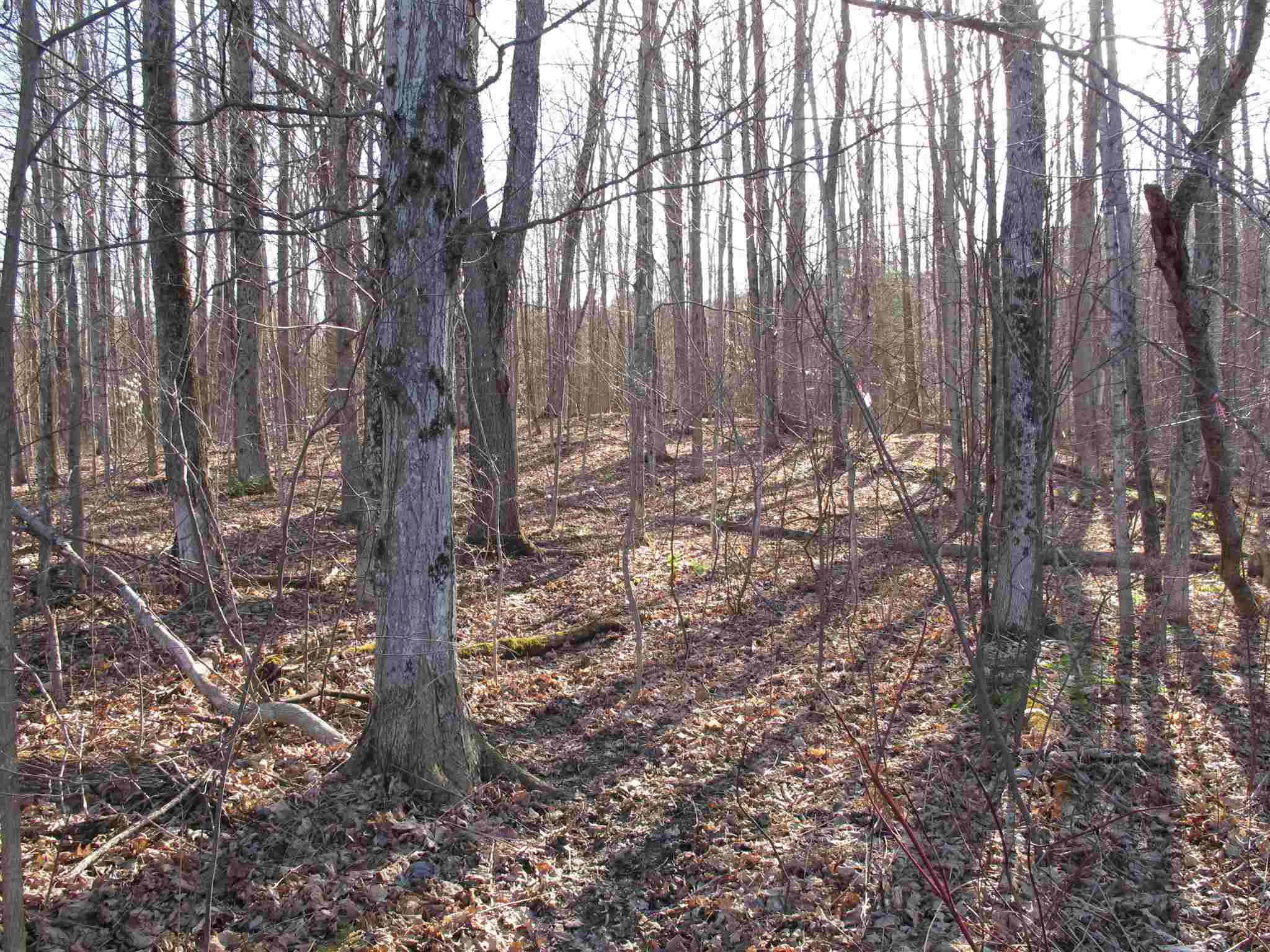 Lot 4 Mirror Lake Road, Unit LOT 4 Berlin, VT 05602 - Photo 1 of 15 Gallery Image 1