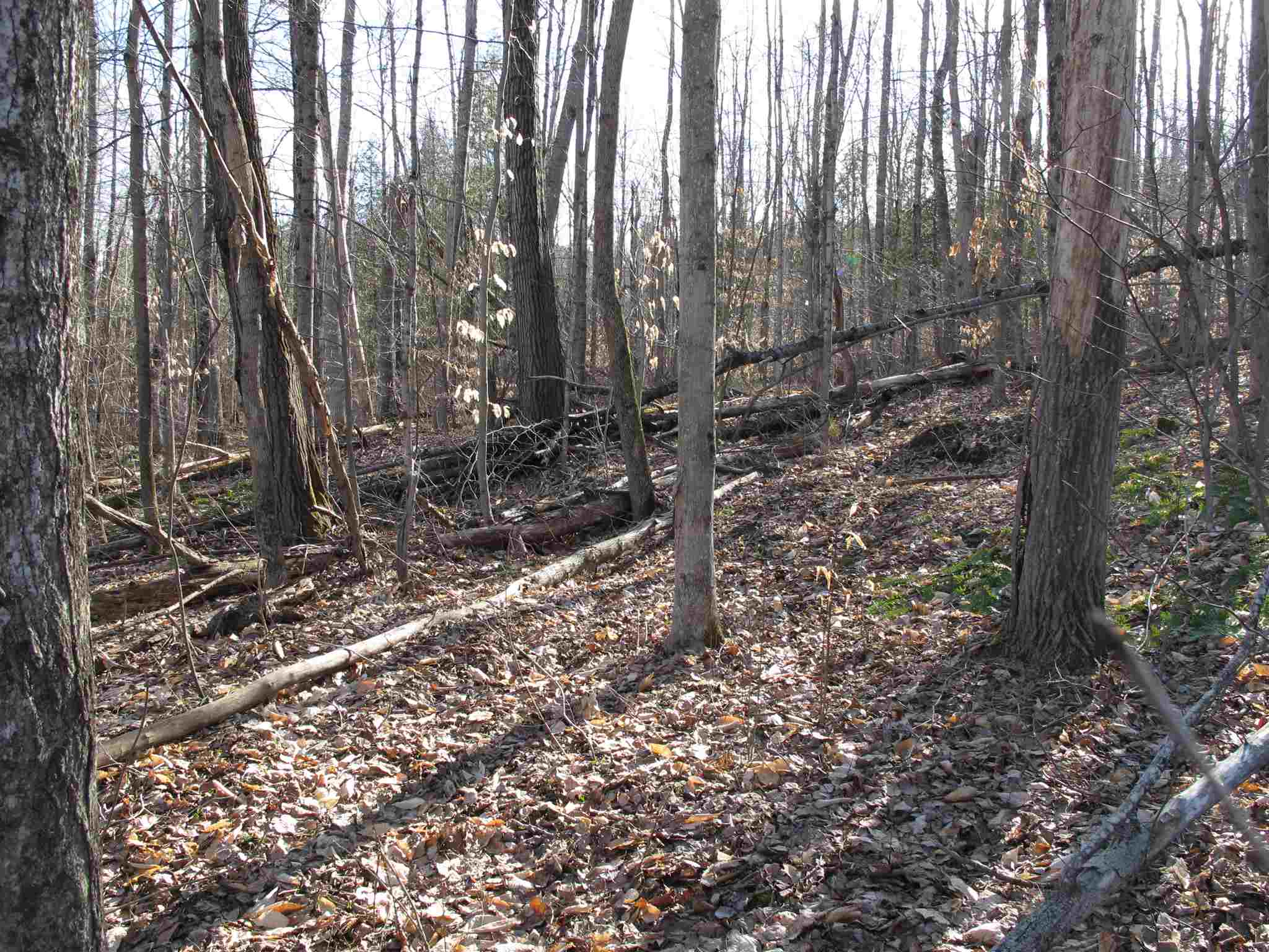 Lot 4 Mirror Lake Road, Unit LOT 4 Berlin, VT 05602 - Photo 11 of 15 Gallery Image 11