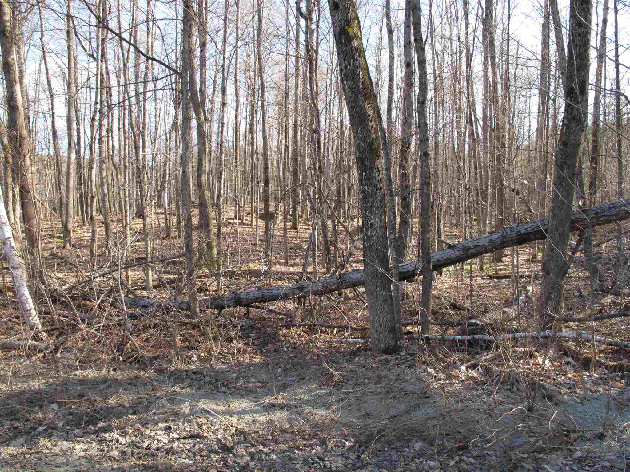 Lot 4 Mirror Lake Road, Unit LOT 4 Berlin, VT 05602 - Photo 4 of 15 Gallery Image 4