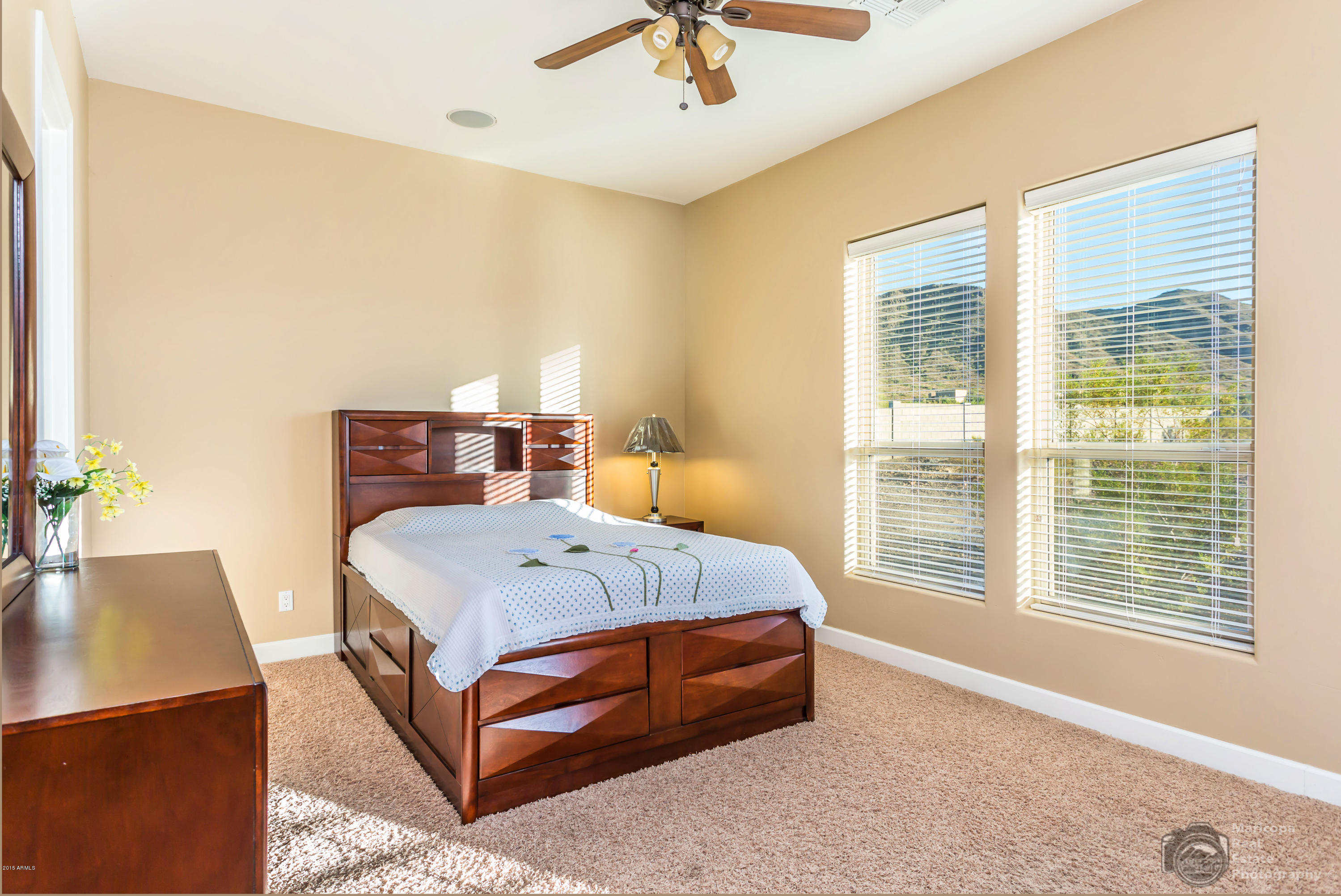 3913 West Carver Road Laveen, AZ 85339 - Photo 16 of 27 17