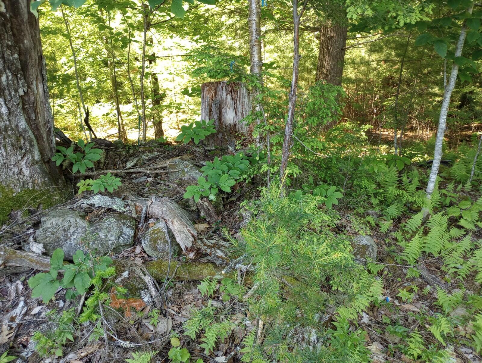 Tbd Tbd North Road Limington, ME 04049 - Photo 12 of 13 13