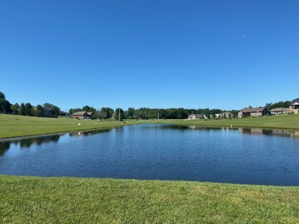 1102 High Lake Drive Dickson, TN 37055 - Photo 2 of 50 a view of a lake from a yard