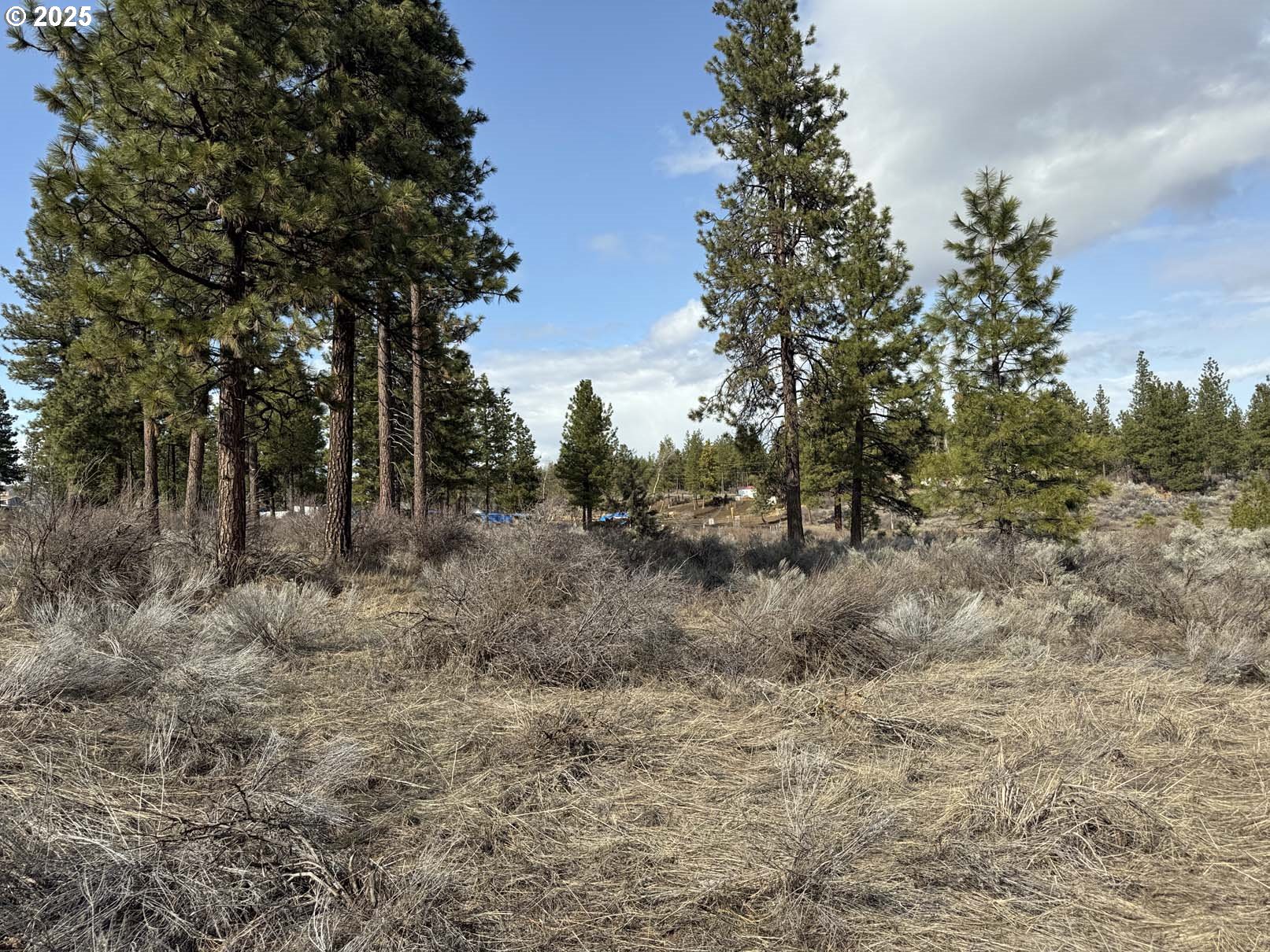 Copperfield Drive, Unit 5 Chiloquin, OR 97624 - Photo 2 of 22