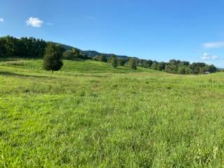 3711 Dutch Valley Road Clinton, TN 37716 - Photo 1 of 17 59084