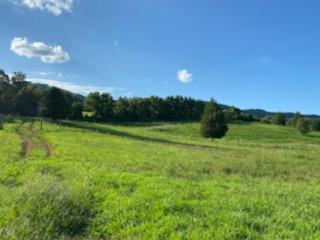 3711 Dutch Valley Road Clinton, TN 37716 - Photo 2 of 17 59081