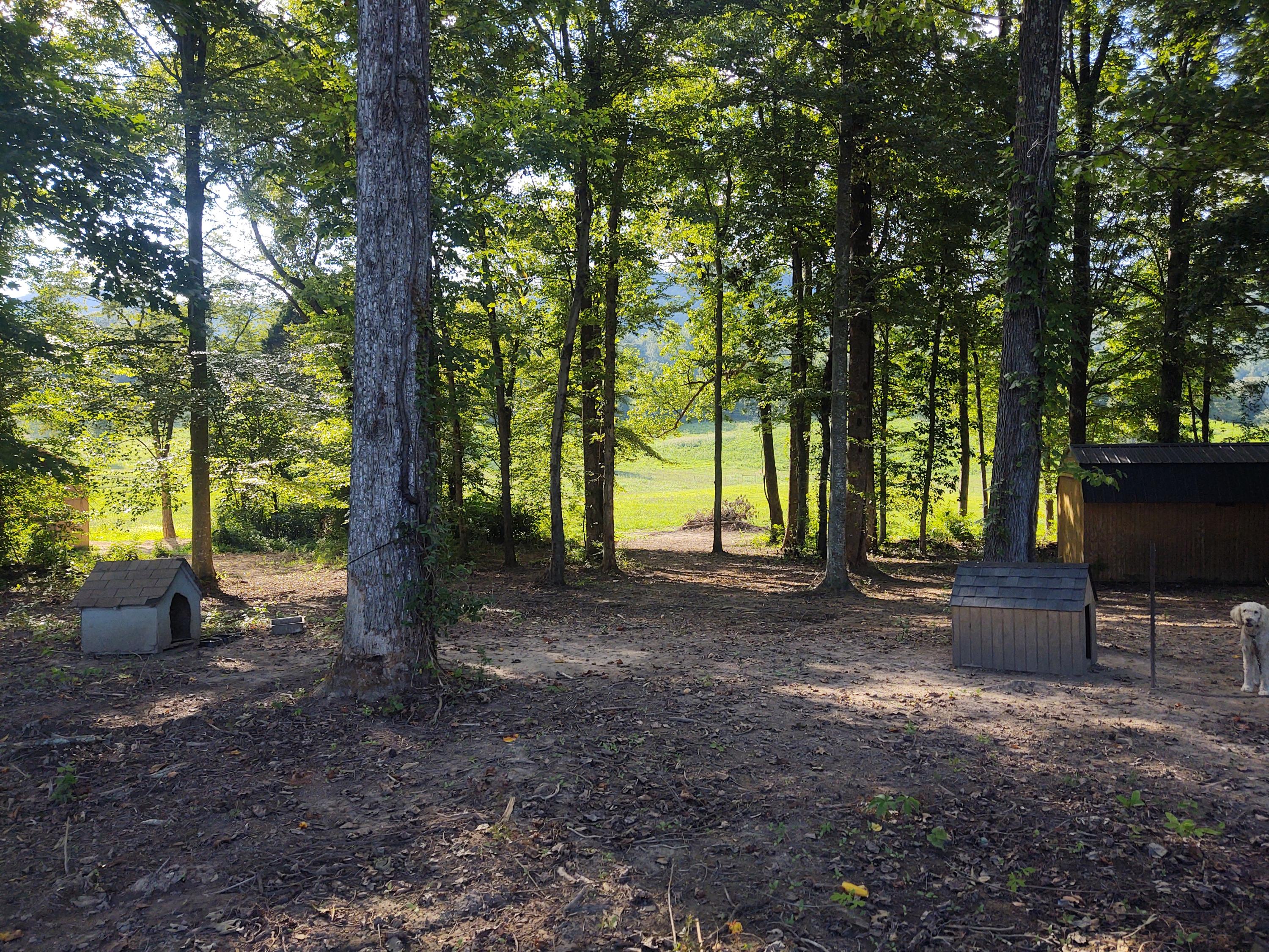 3711 Dutch Valley Road Clinton, TN 37716 - Photo 16 of 17 IMG_20200809_175556197