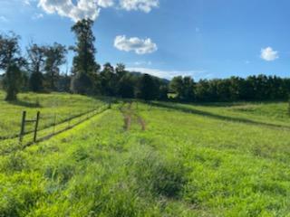 3711 Dutch Valley Road Clinton, TN 37716 - Photo 4 of 17 59080