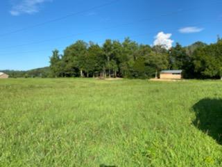 3711 Dutch Valley Road Clinton, TN 37716 - Photo 5 of 17 59079