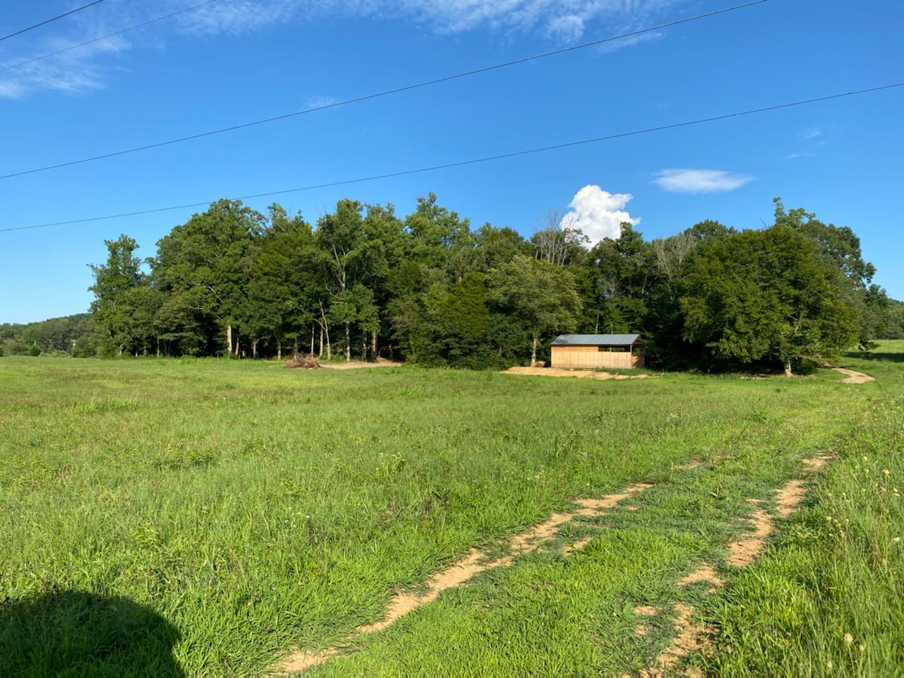 3711 Dutch Valley Road Clinton, TN 37716 - Photo 7 of 17 59074