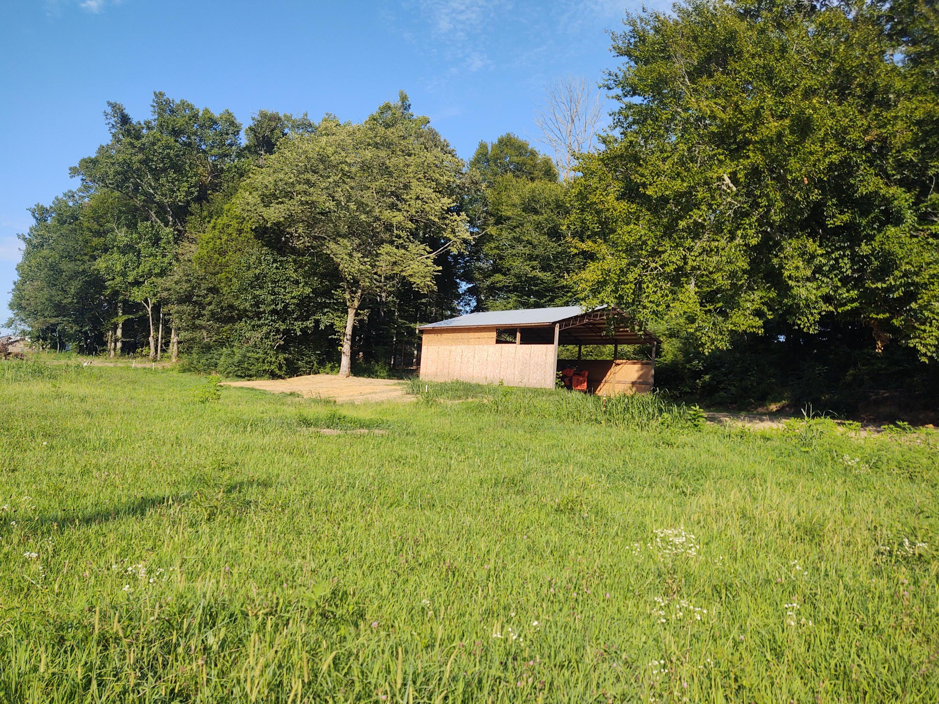 3711 Dutch Valley Road Clinton, TN 37716 - Photo 9 of 17 IMG_20200809_181328539