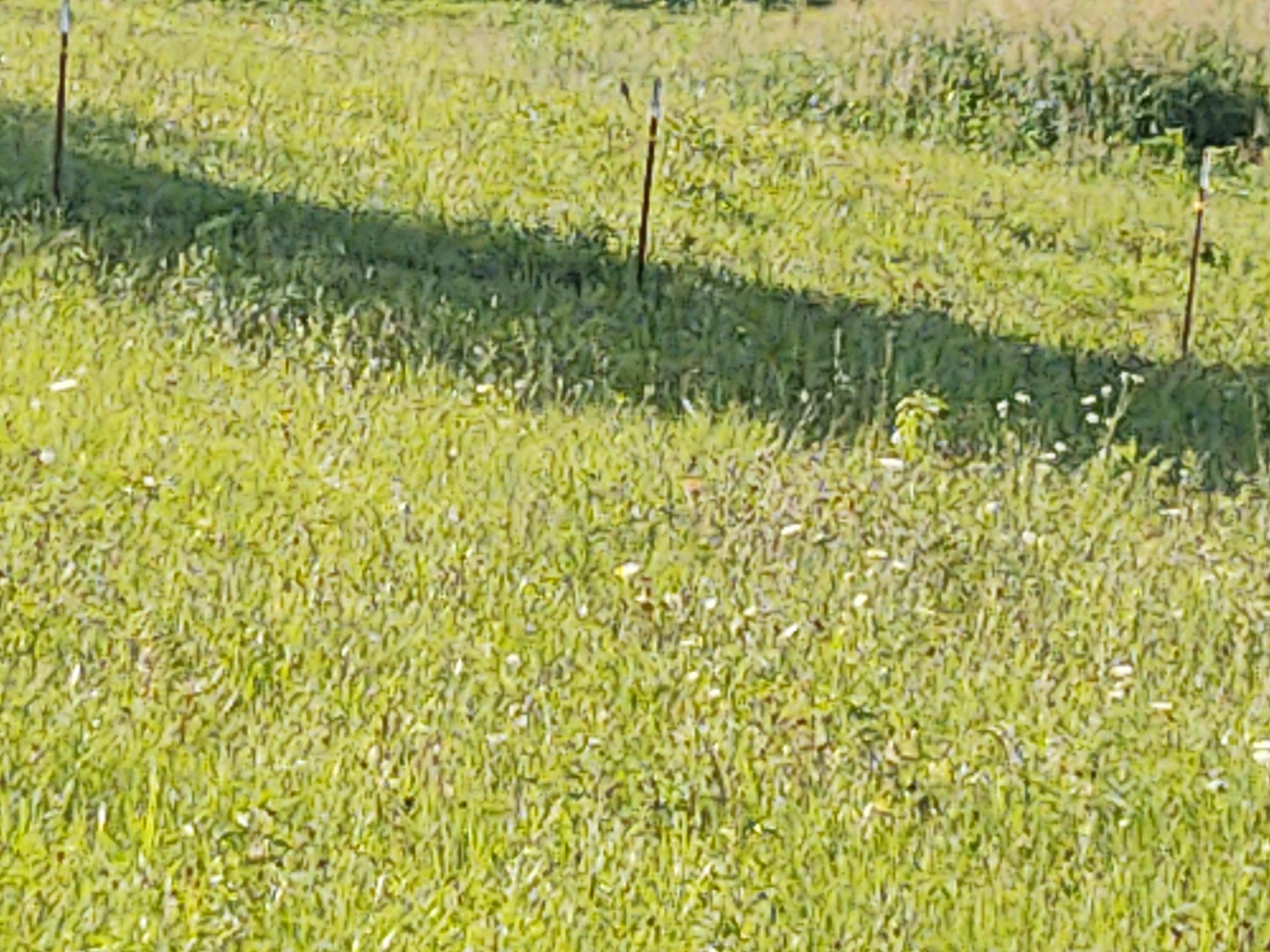 3711 Dutch Valley Road Clinton, TN 37716 - Photo 10 of 17 IMG_20200809_180907331