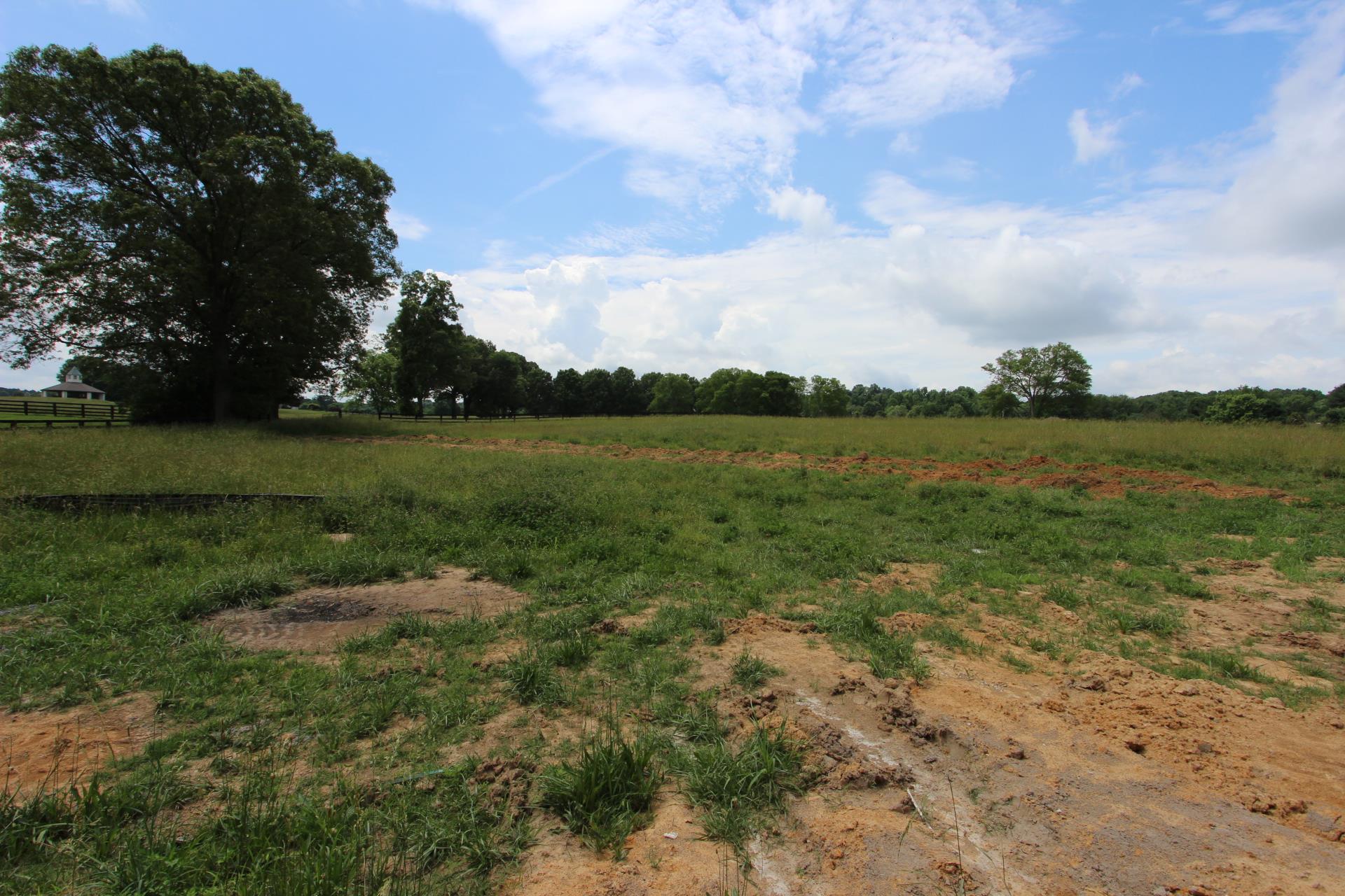 80 Cherokee Dock Road, Unit 13 Lebanon, TN 37087 - Photo 27 of 28 Backyard