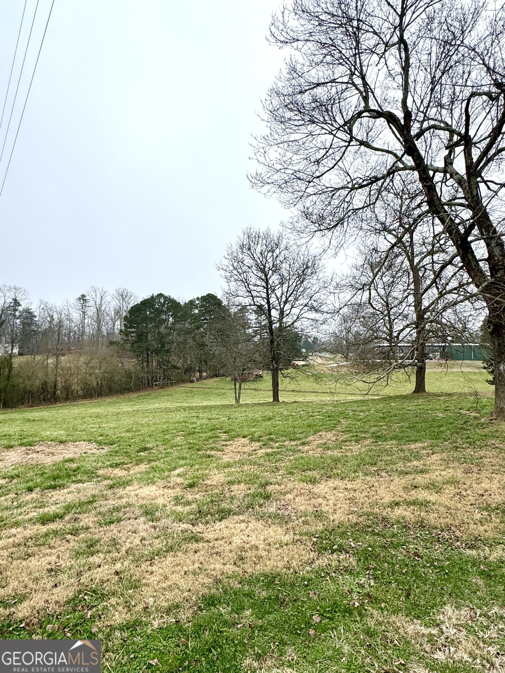 a view of field with large trees