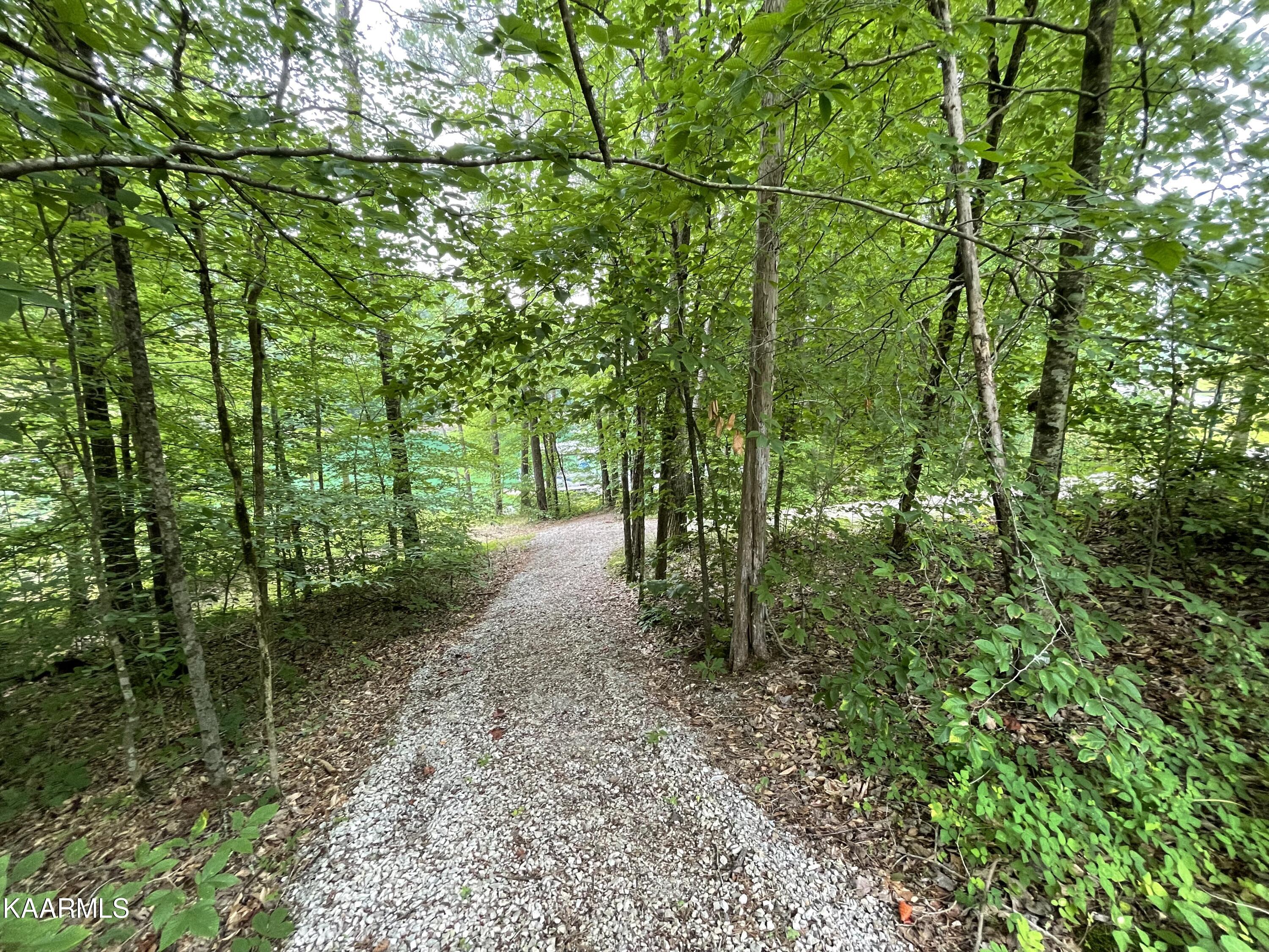 270 East Norris Point Road La Follette, TN 37766 - Photo 36 of 40 IMG_2799