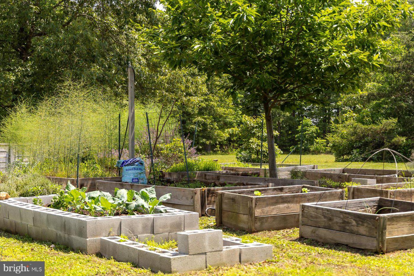 29227 General Rhodes Lane Rhoadesville, VA 22542 - Photo 102 of 129 Raised garden beds