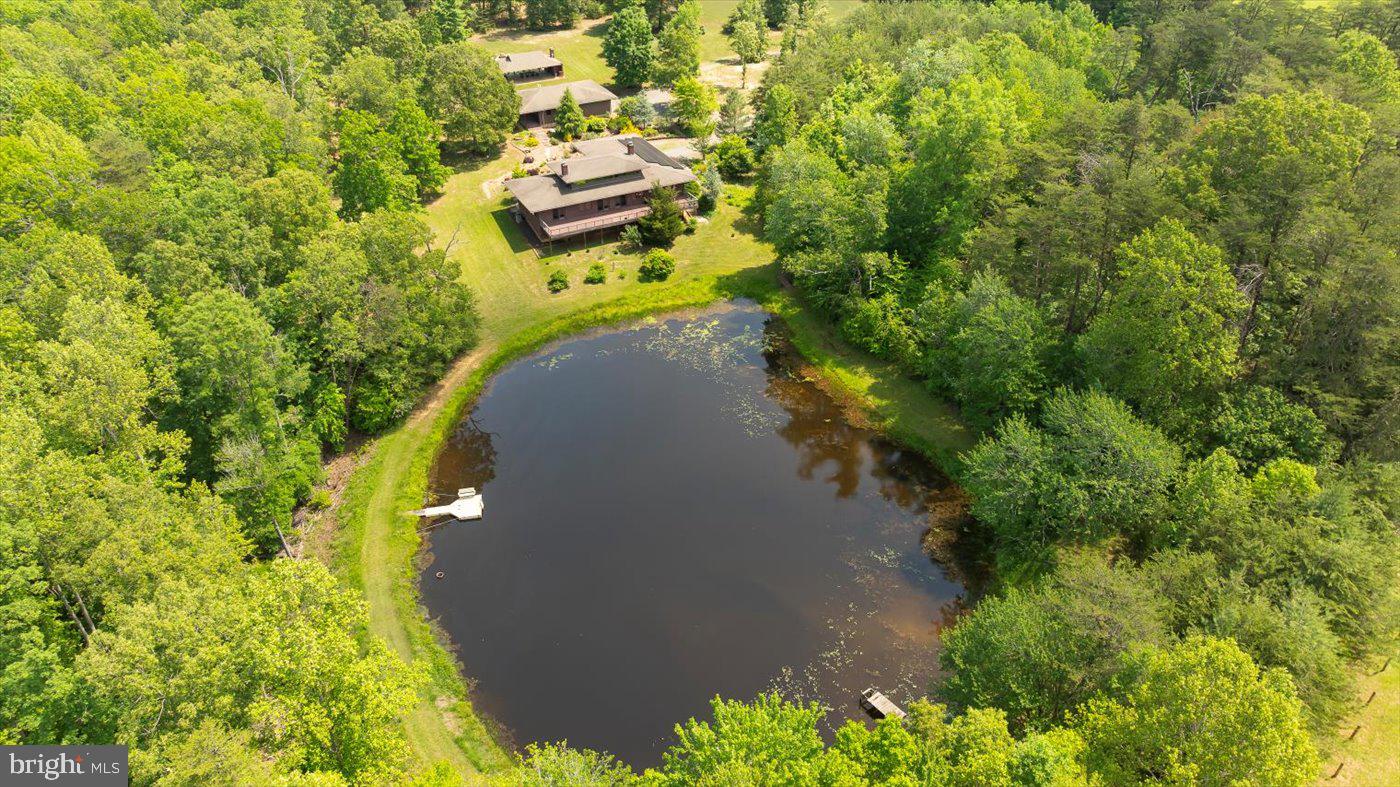 29227 General Rhodes Lane Rhoadesville, VA 22542 - Photo 109 of 129 a view of a yard with plants and large trees
