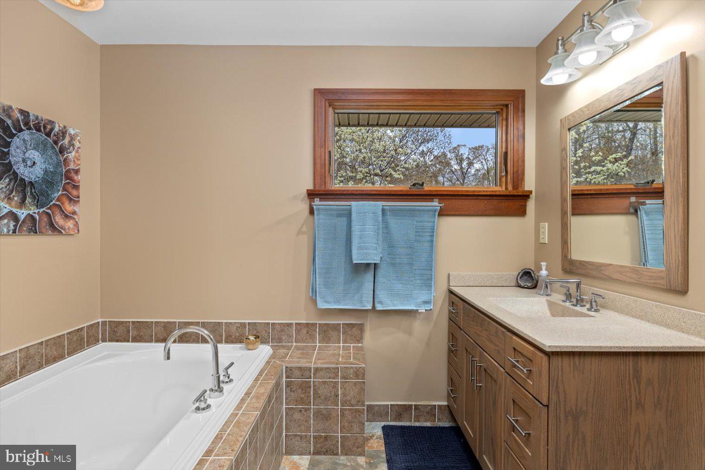 29227 General Rhodes Lane Rhoadesville, VA 22542 - Photo 26 of 129 a bathroom with a sink mirror and a bathtub