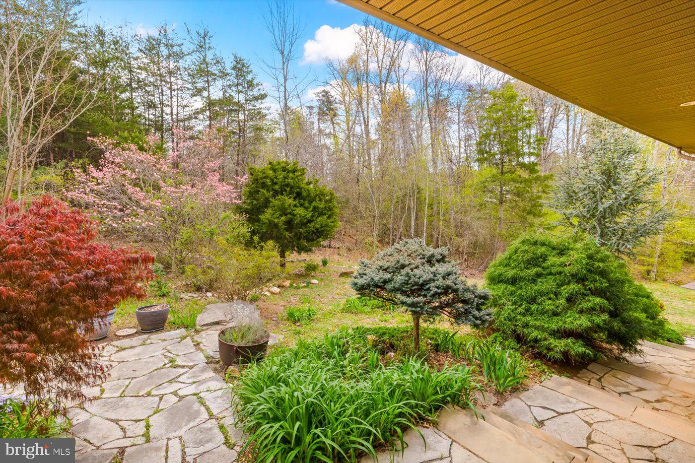 29227 General Rhodes Lane Rhoadesville, VA 22542 - Photo 56 of 129