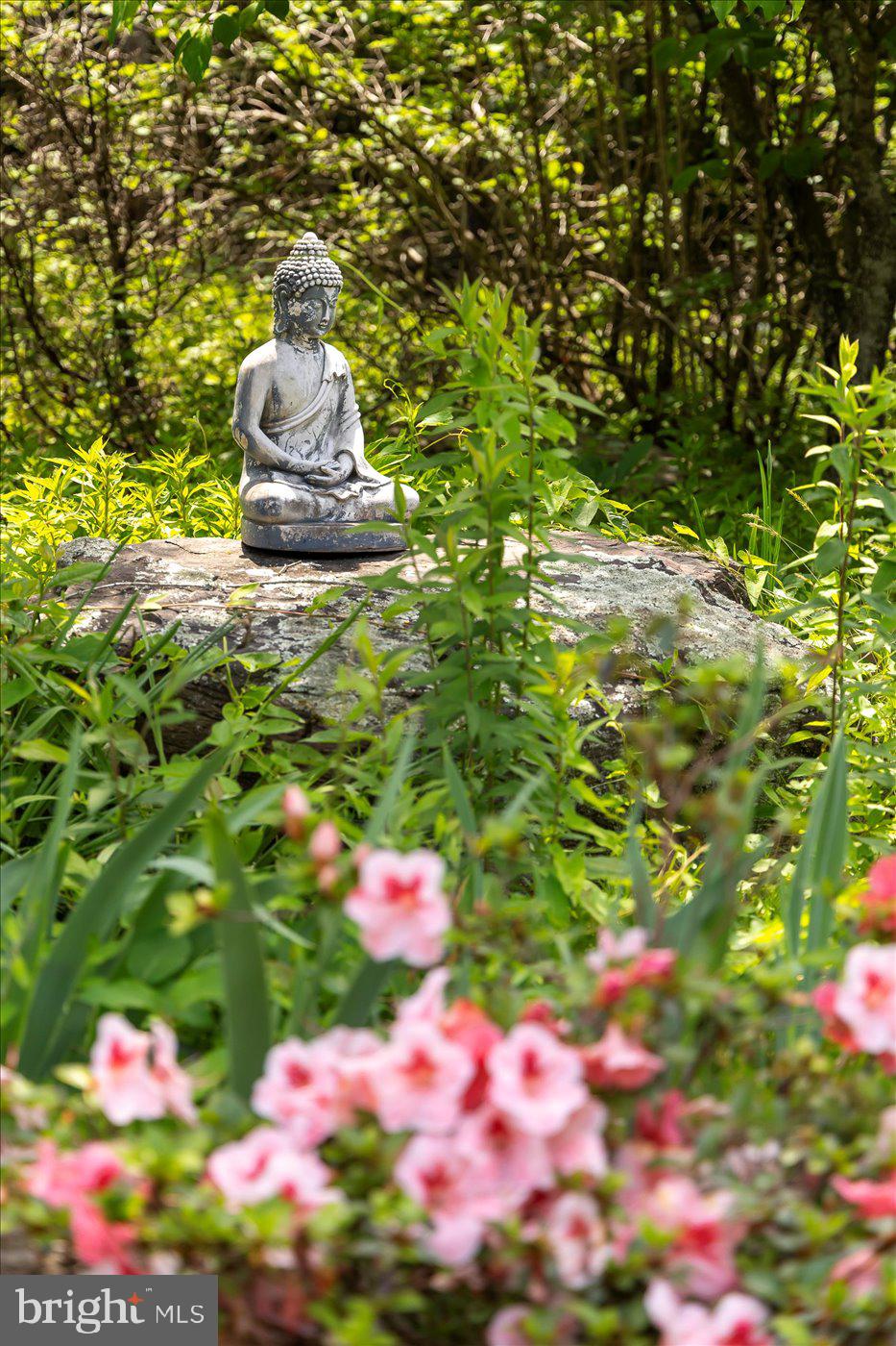 29227 General Rhodes Lane Rhoadesville, VA 22542 - Photo 60 of 129