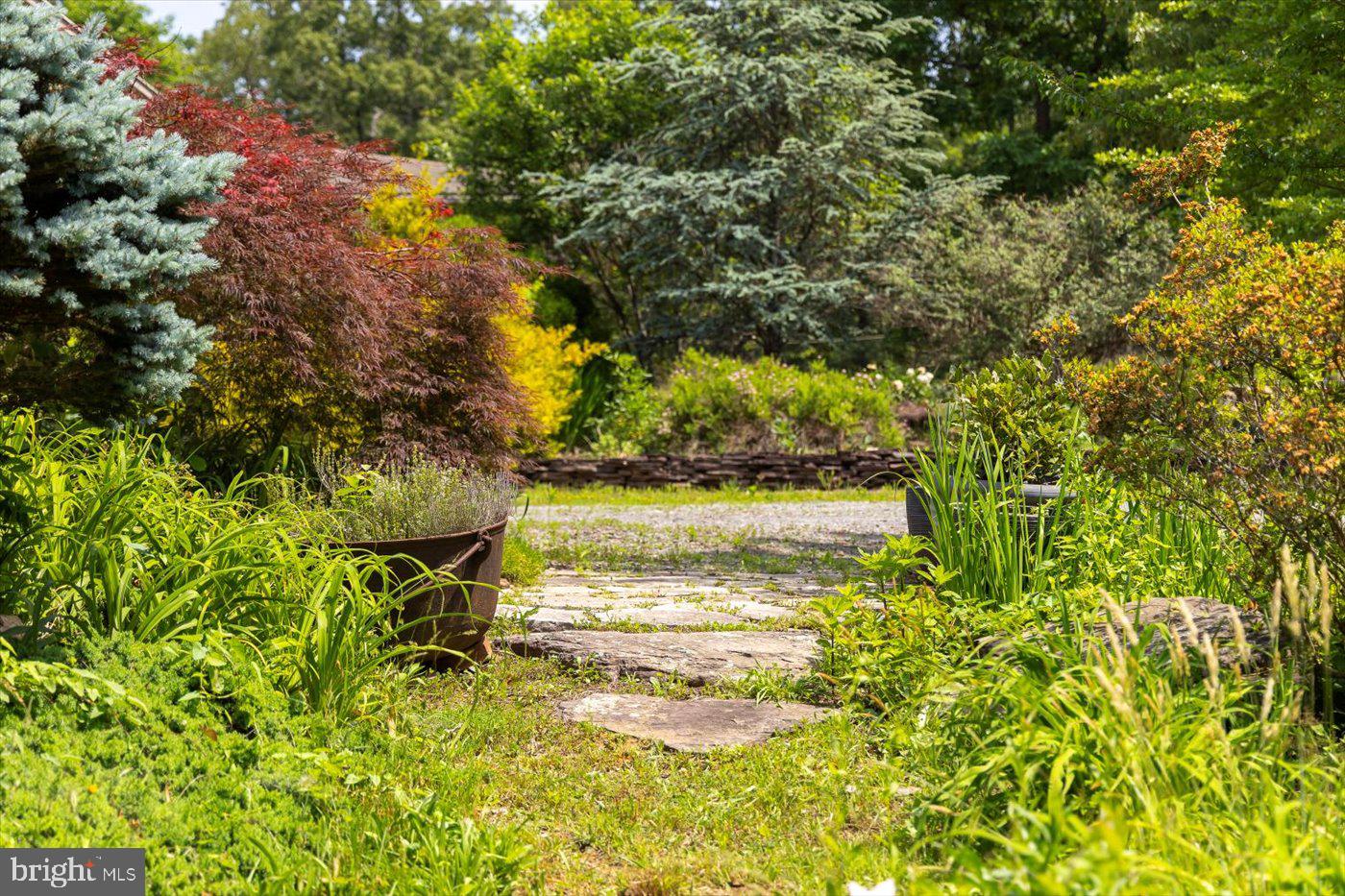 29227 General Rhodes Lane Rhoadesville, VA 22542 - Photo 89 of 129 a view of a yard with plants and large trees