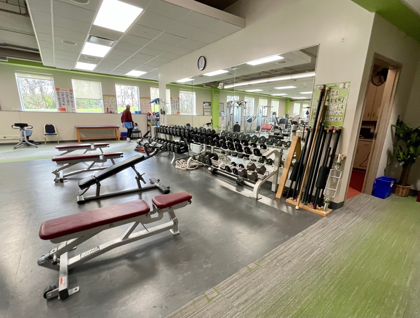 14013 Francesca Cove Huntley, IL 60142 - Photo 48 of 60 a room with gym equipment and windows