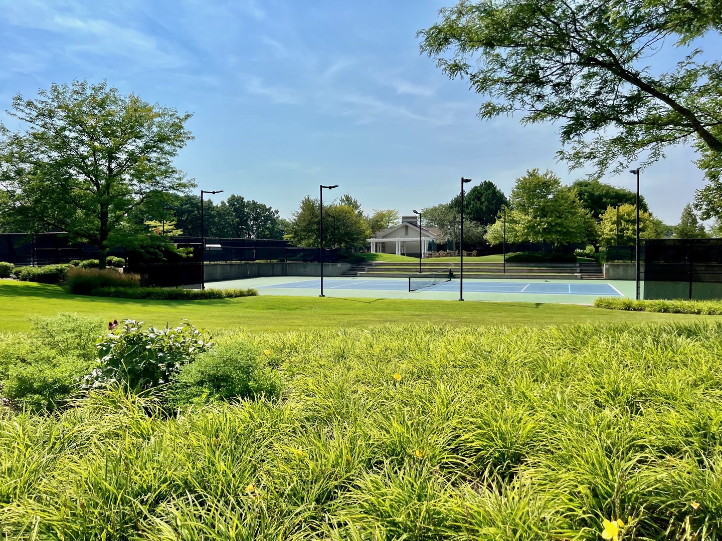 14013 Francesca Cove Huntley, IL 60142 - Photo 55 of 60 a view of a tennis ground with large trees