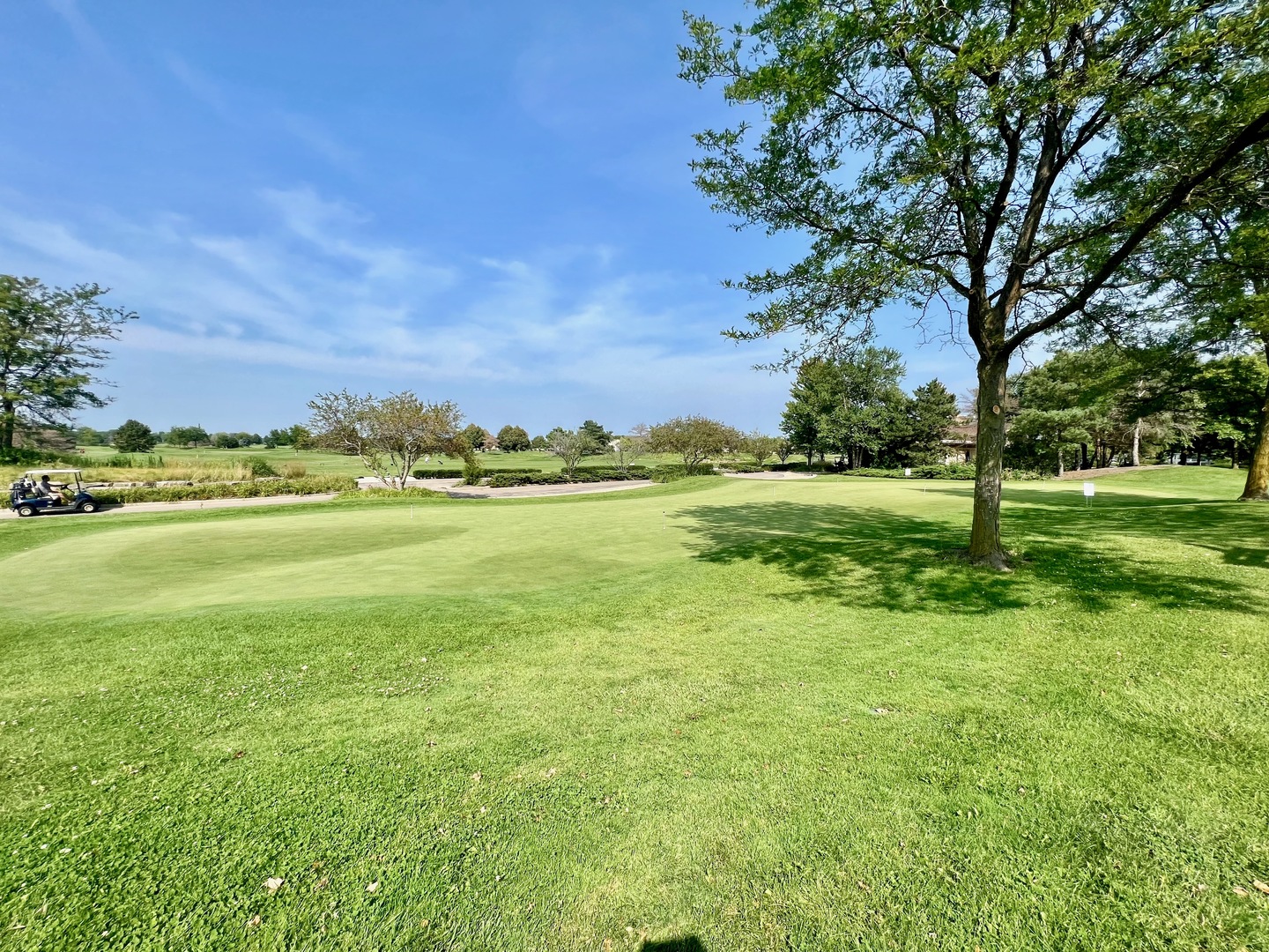 14013 Francesca Cove Huntley, IL 60142 - Photo 58 of 60 a view of a big yard with a large trees