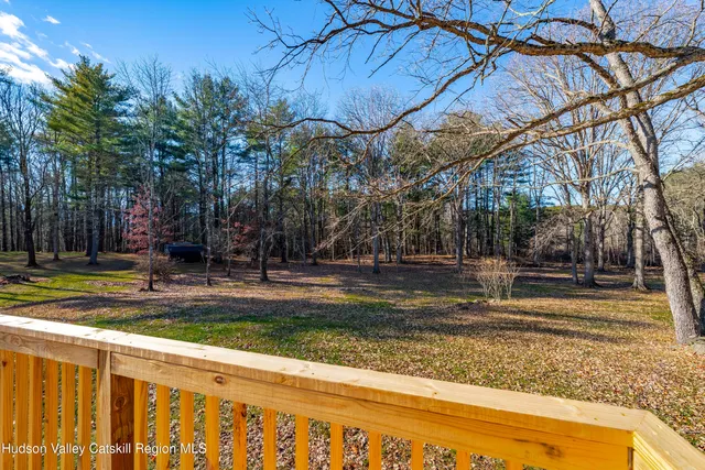 a view of a backyard with large trees