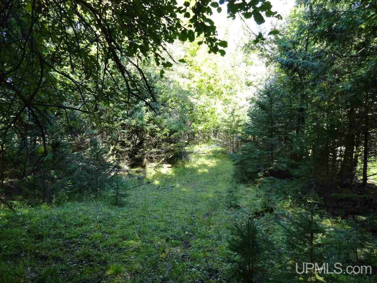 6386 Co Rd 432 Rock, MI 49880 - Photo 28 of 39