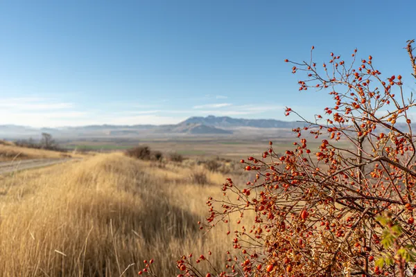 $800,000 | Undisclosed Address, Richmond, UT 84333