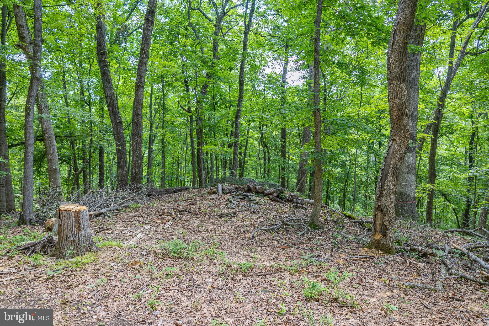 Tbd Comptons Road Castleton, VA 22716 - Photo 11 of 33
