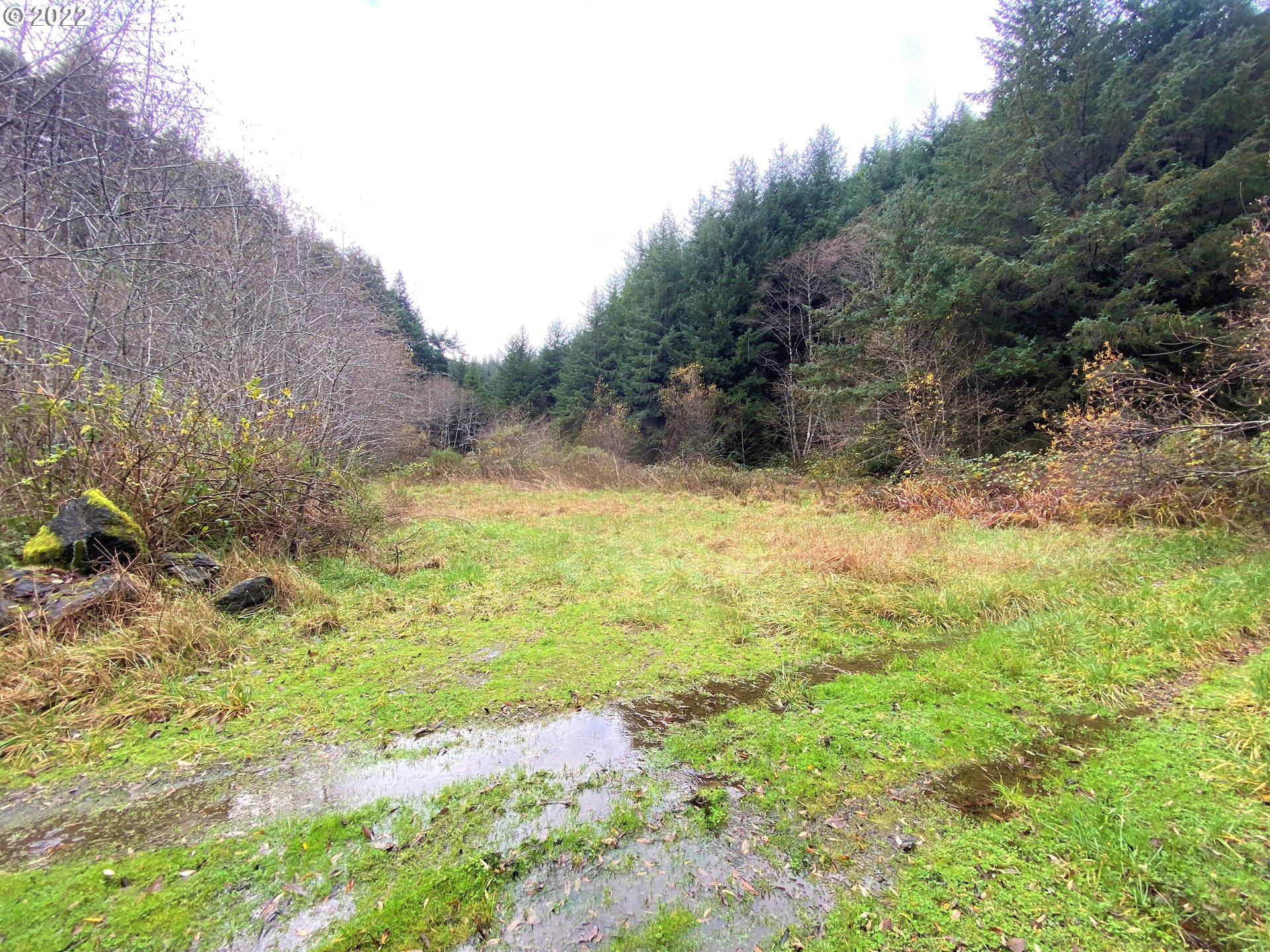 Mill Stream Road Gold Beach, OR 97444 - Photo 15 of 32