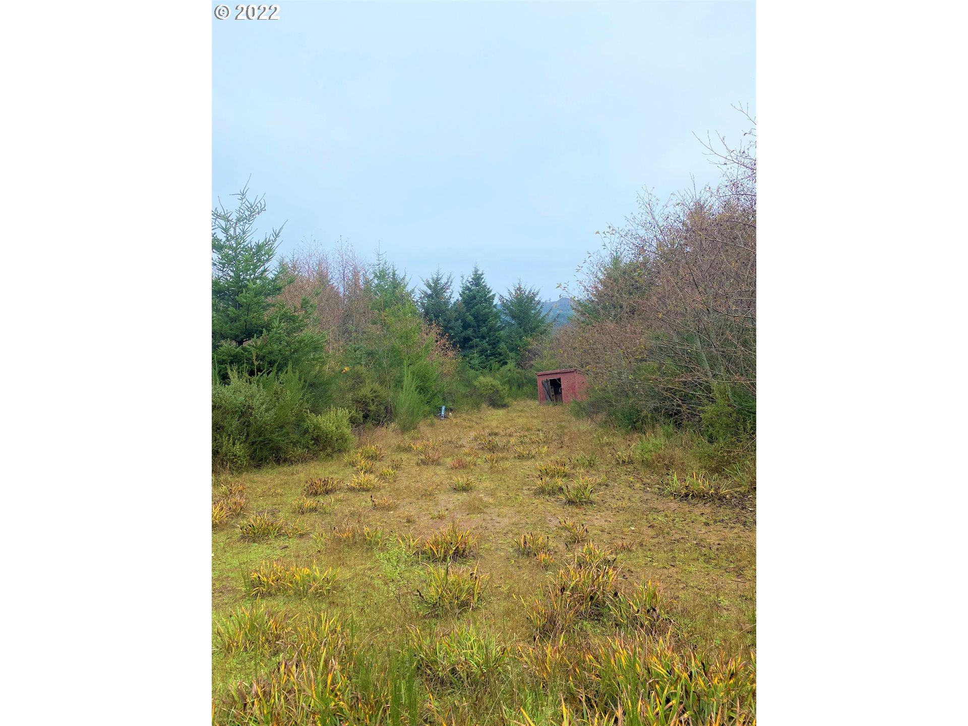 Mill Stream Road Gold Beach, OR 97444 - Photo 4 of 32