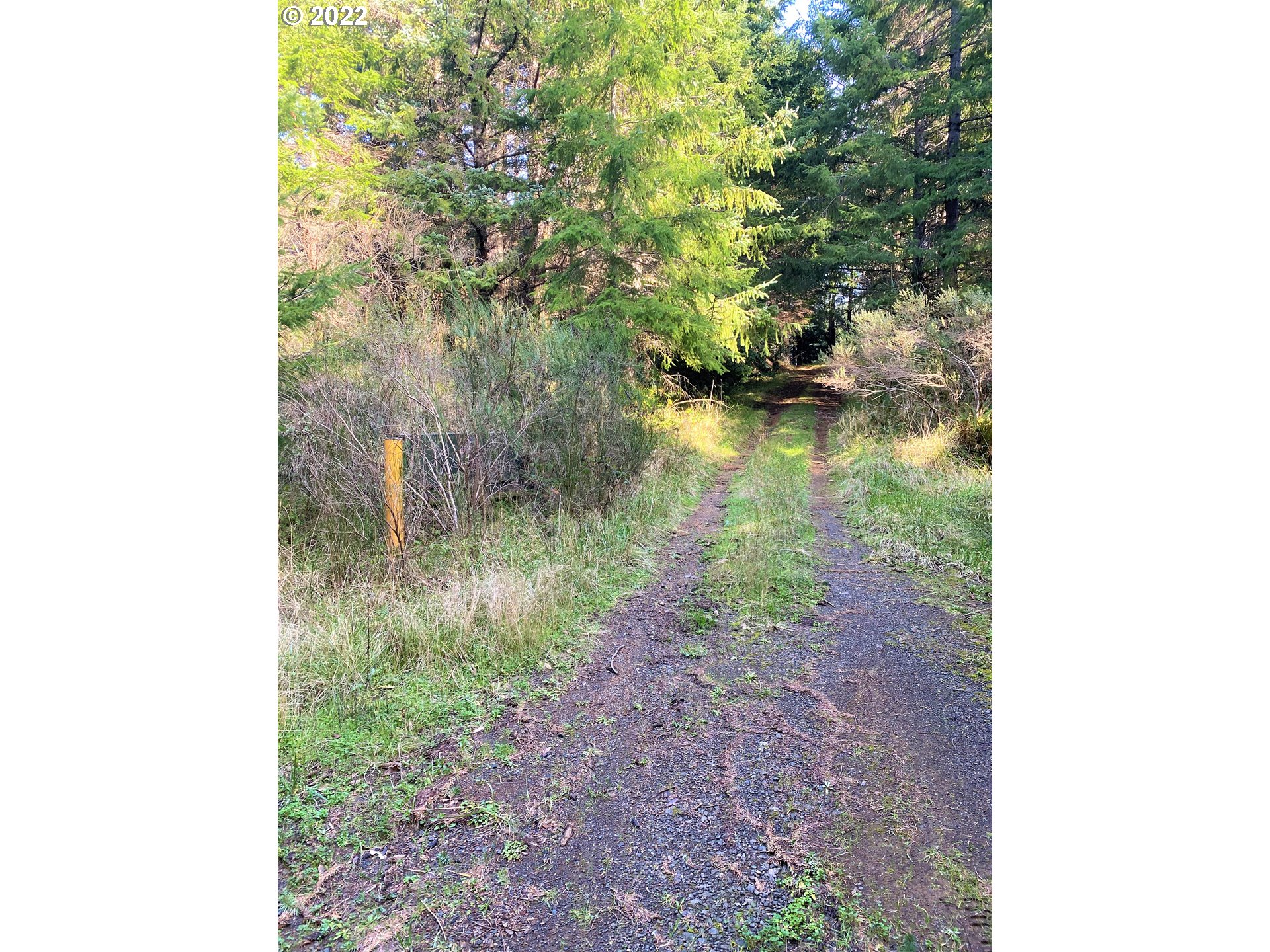 Mill Stream Road Gold Beach, OR 97444 - Photo 5 of 32