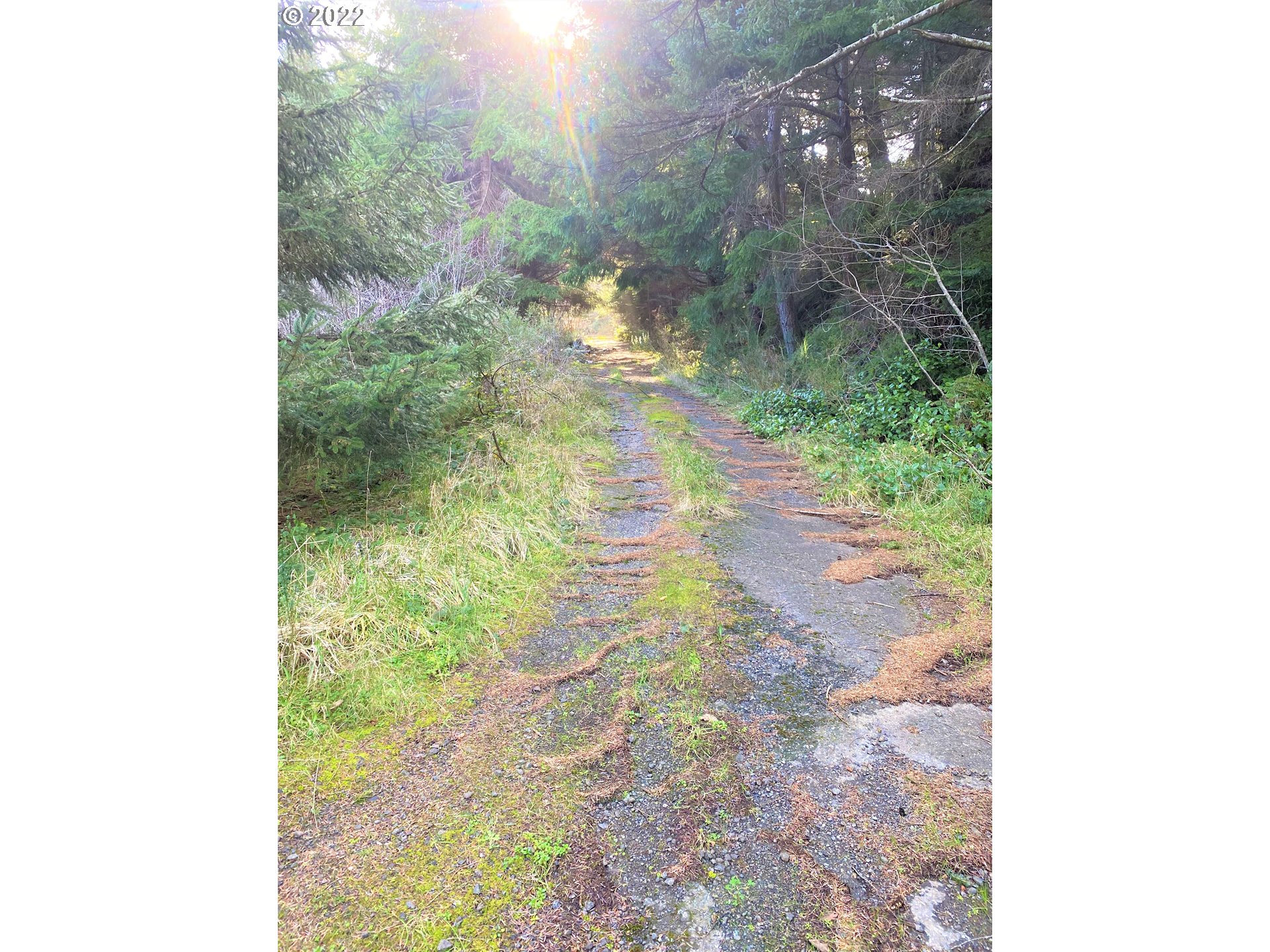 Mill Stream Road Gold Beach, OR 97444 - Photo 6 of 32