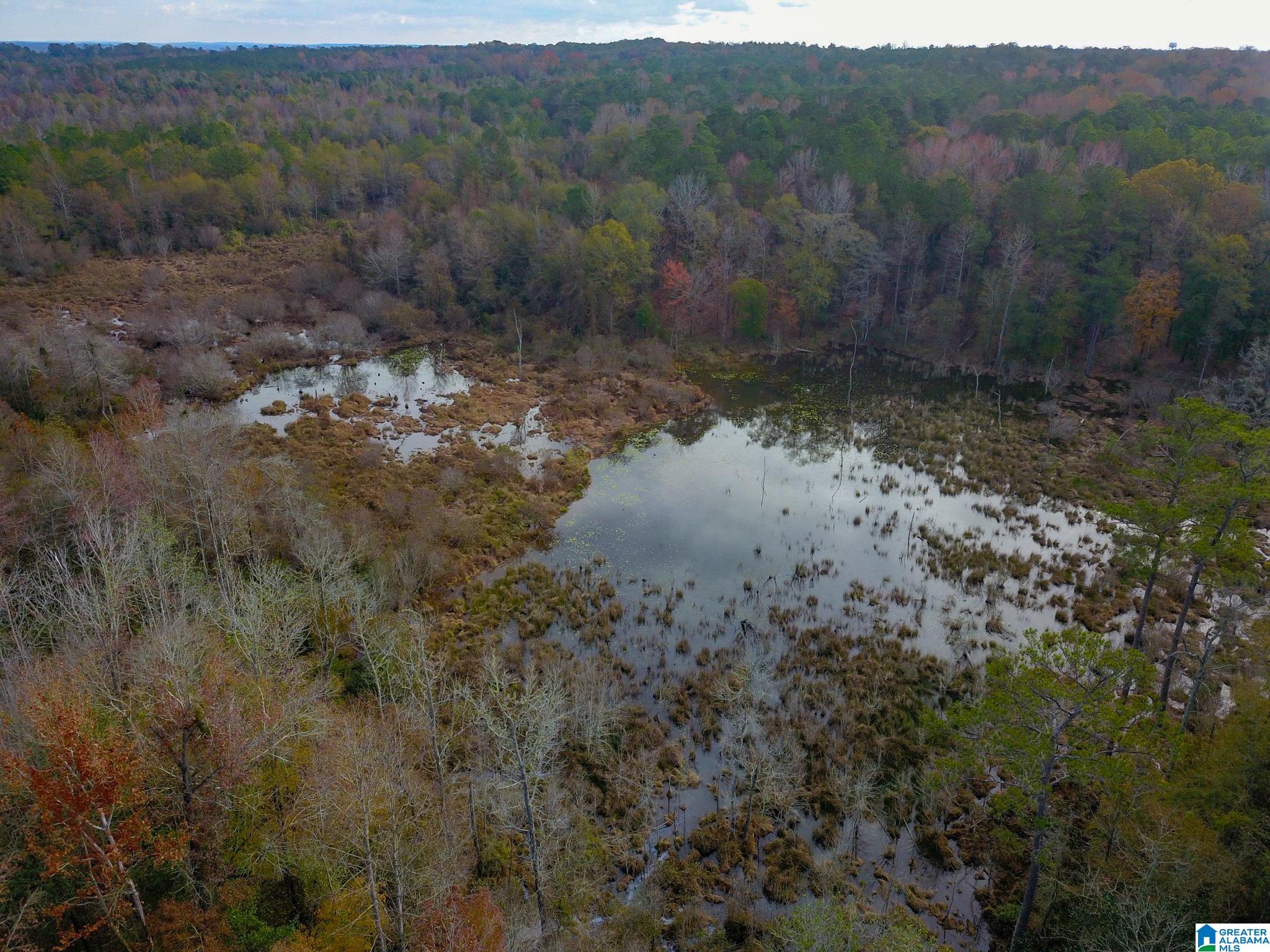0 Midway Road Tuskegee, AL 36083 - Photo 26 of 30