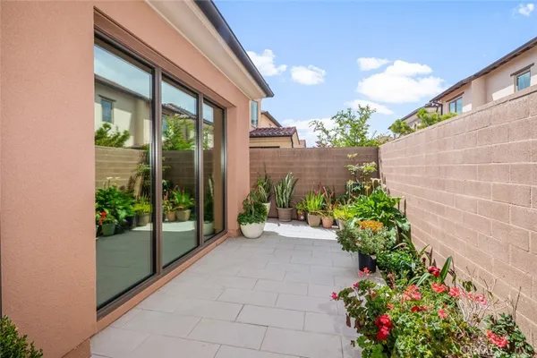 a view of a garden with potted plants