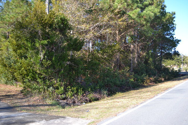 Lot 6 Watts Landing Road Hampstead, NC 28443 - Photo 1 of 3 Primary Photo