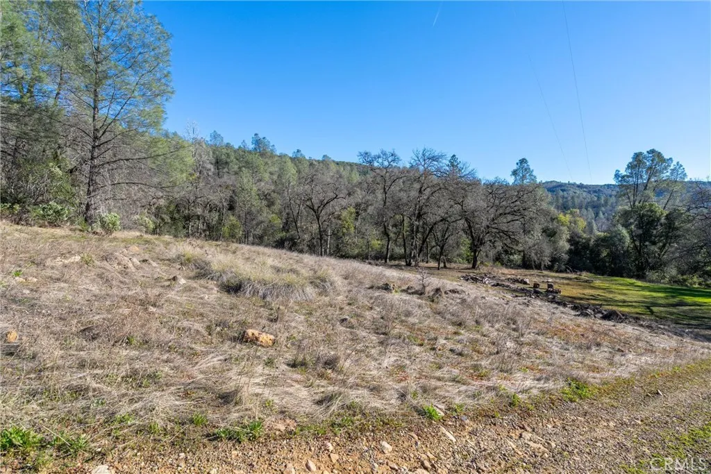 0 Crown Point Road Magalia, CA 95954 - Photo 21 of 39 a view of a dry yard with trees in the background
