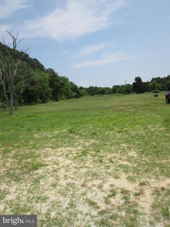 Mahlon Price Chance, MD 21821 - Photo 4 of 7 Gallery Image 4