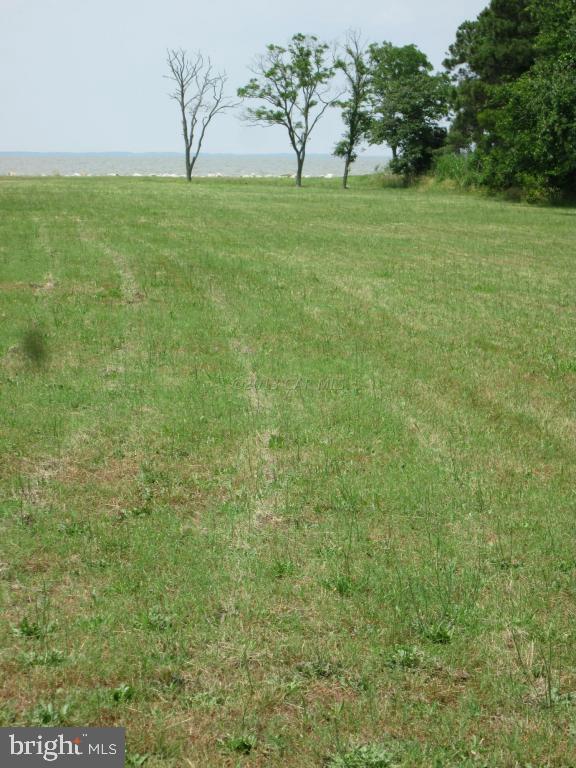 Mahlon Price Chance, MD 21821 - Photo 5 of 7 Gallery Image 5