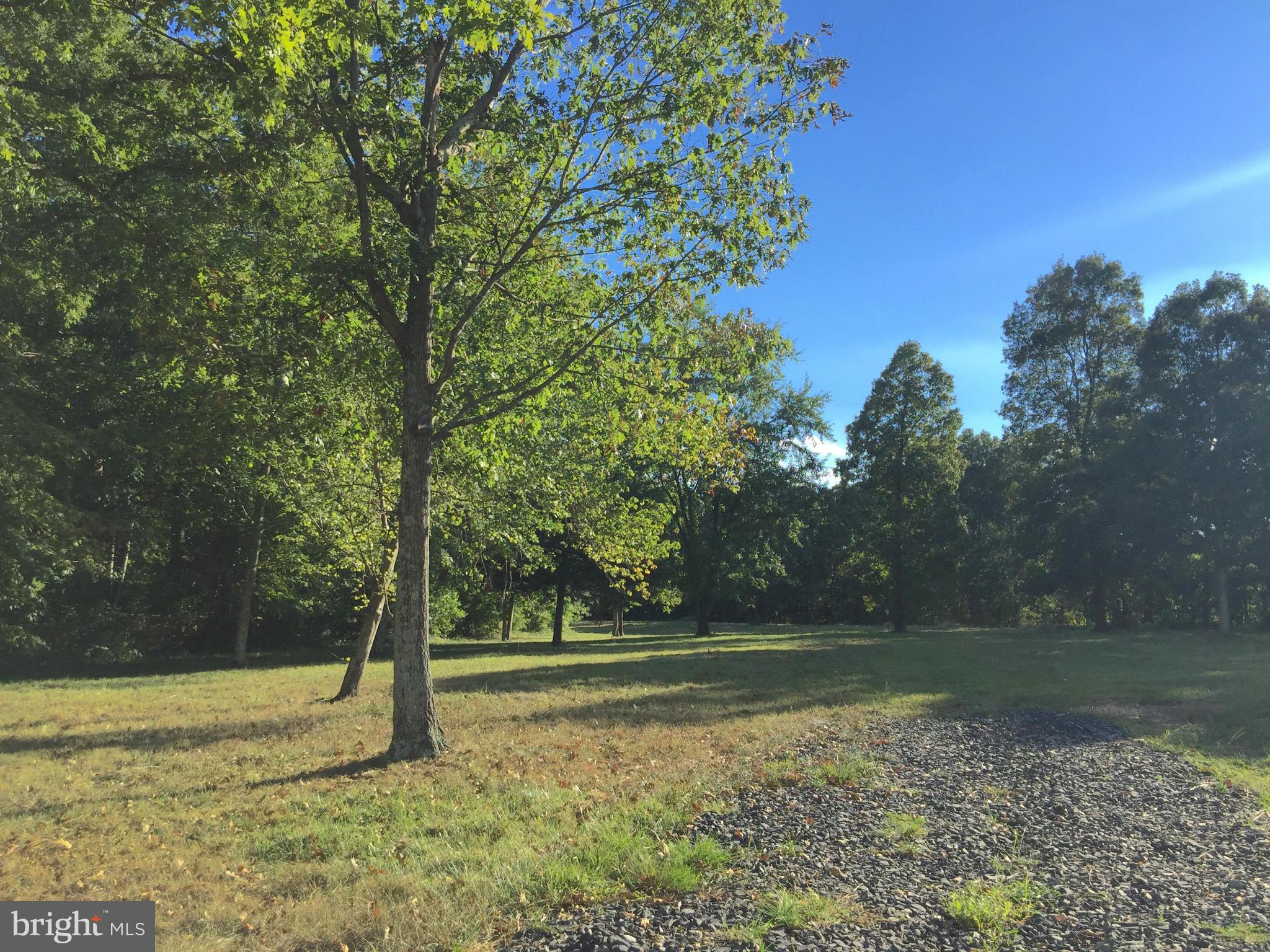 2 Chestnut Fork Road Culpeper, VA 22701 - Photo 2 of 12 Looking into the lot - approved VDOT entrance