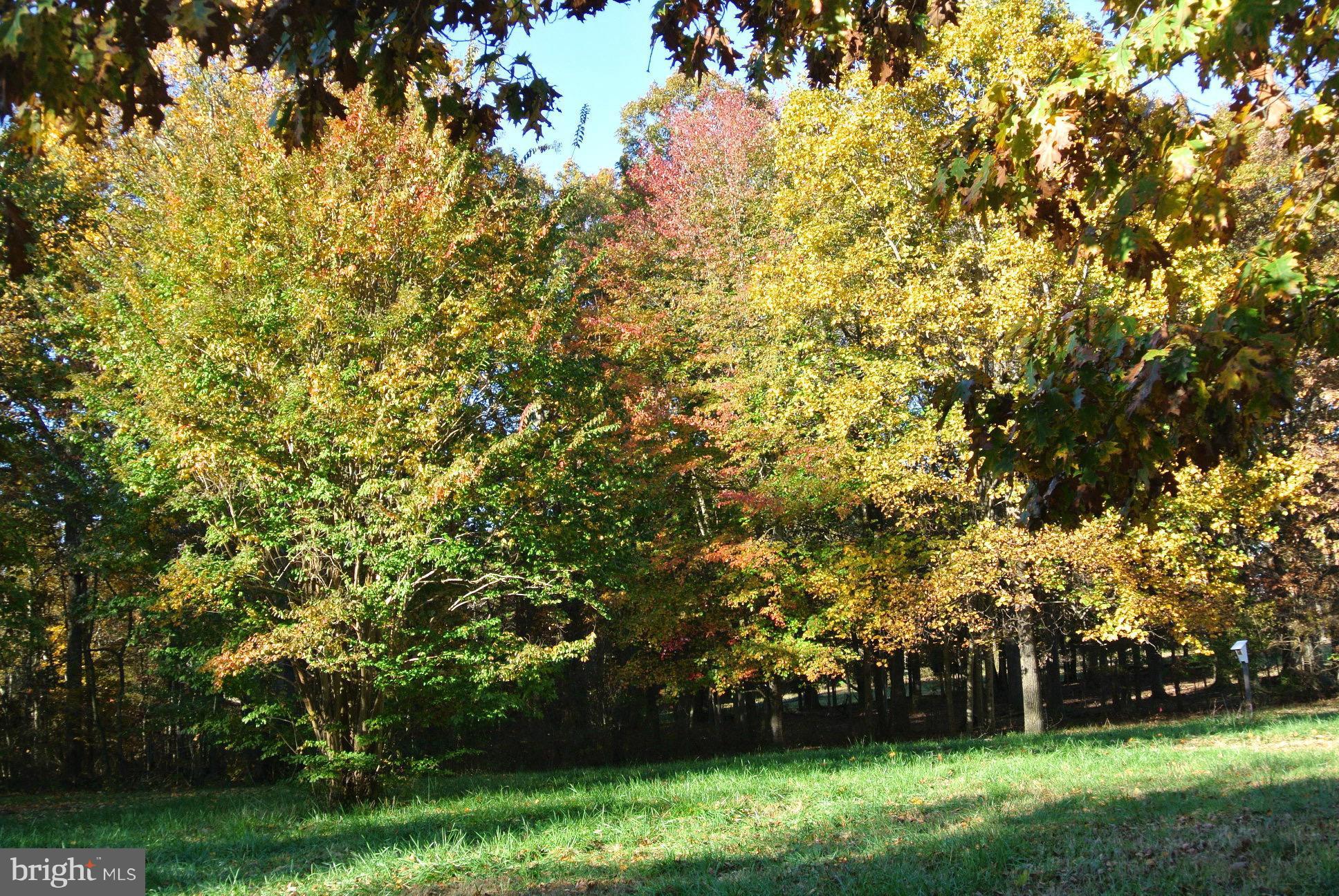 2 Chestnut Fork Road Culpeper, VA 22701 - Photo 11 of 12 View